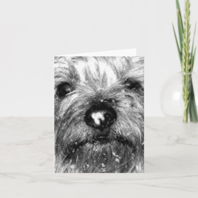 Cartão floco de neve (Frente)