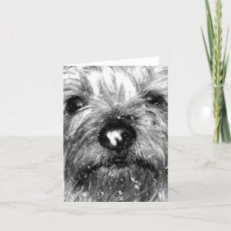 Cartão floco de neve