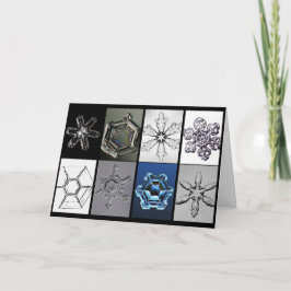 Cartão Flocos de neve Snowcatcher aprimorados