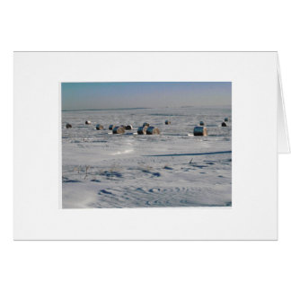 Cartão Flocos foscos