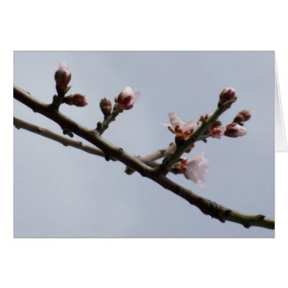 Cartão Flor