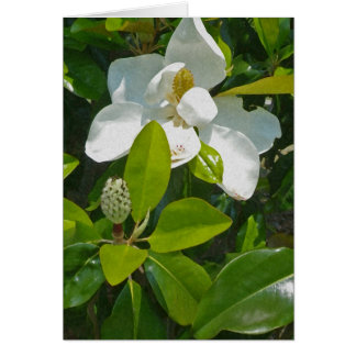 Cartão Flor a frutificar