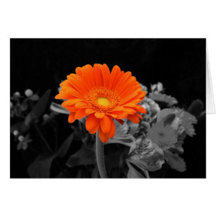 Cartão Flor alaranjada cartão-Alguma ocasião