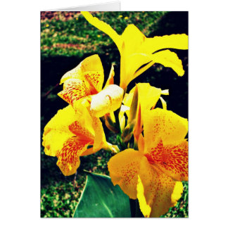 Cartão Flor amarela