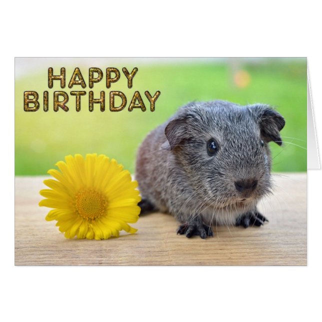 Cartão Flor amarela de porco (Frente Horizontal)