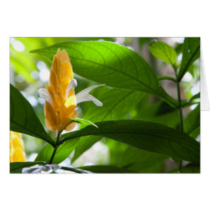 Cartão Flor Amarelo
