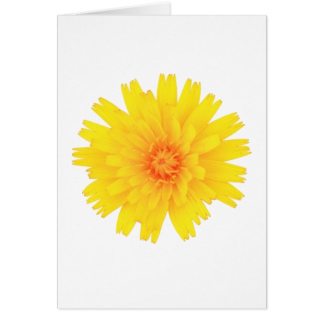 Cartão Flor Amarelo (Frente)