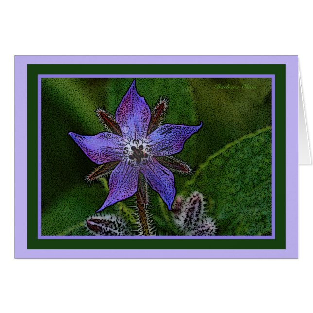 Cartão Flor: Borage (Frente Horizontal)