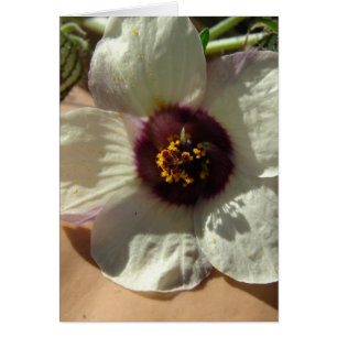 Cartão Flor Branca bonito