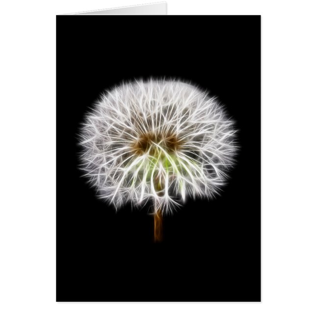 Cartão Flor Branca Dandelion (Frente)