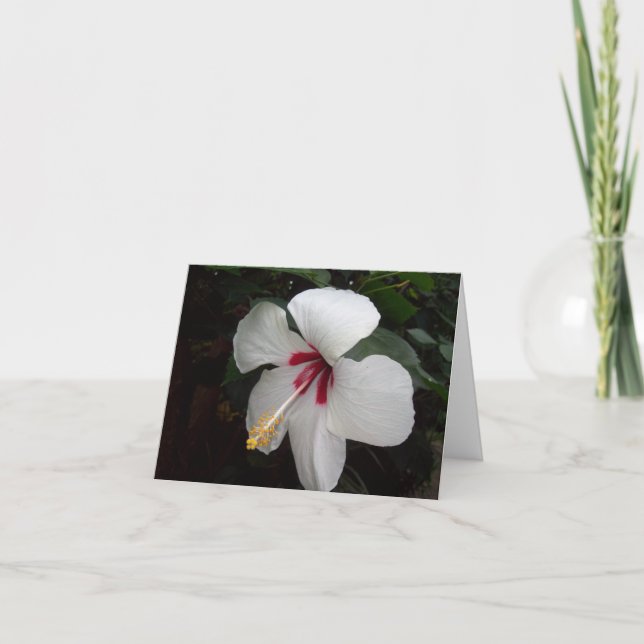 Cartão Flor Branca - Pensando em ti, Espanhol (Frente)