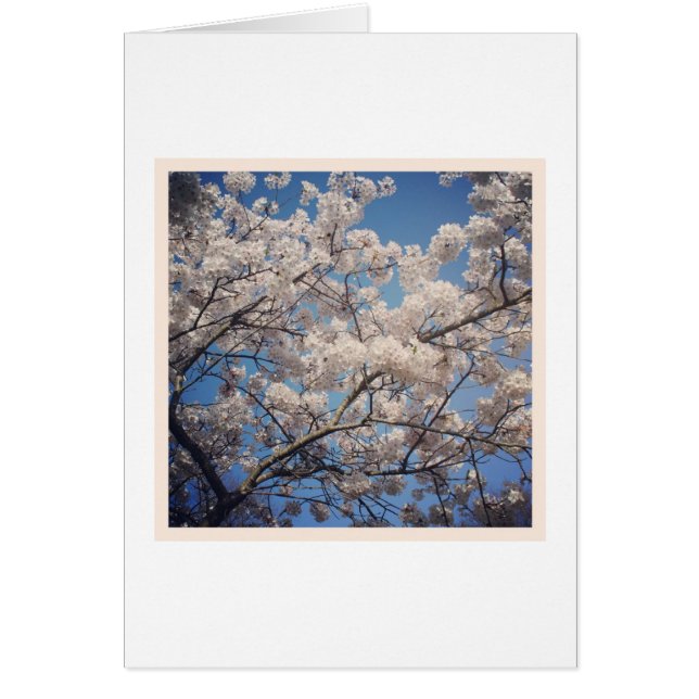 Cartão Flor branco (Frente)