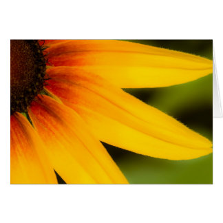 Cartão Flor brilhante