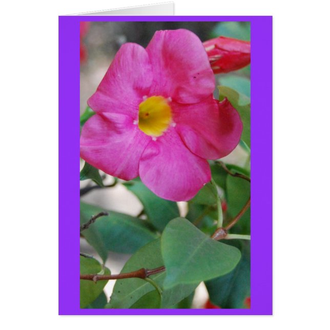 Cartão Flor cor-de-rosa (Frente)