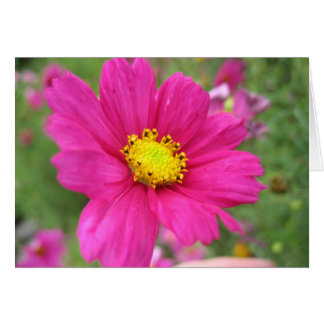 Cartão Flor cor-de-rosa