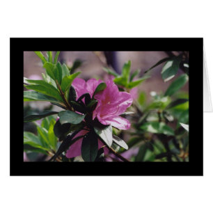 Cartão Flor cor-de-rosa brilhante