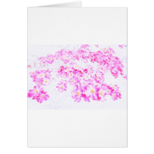 Cartão Flor cor-de-rosa do Dogwood (Frente)
