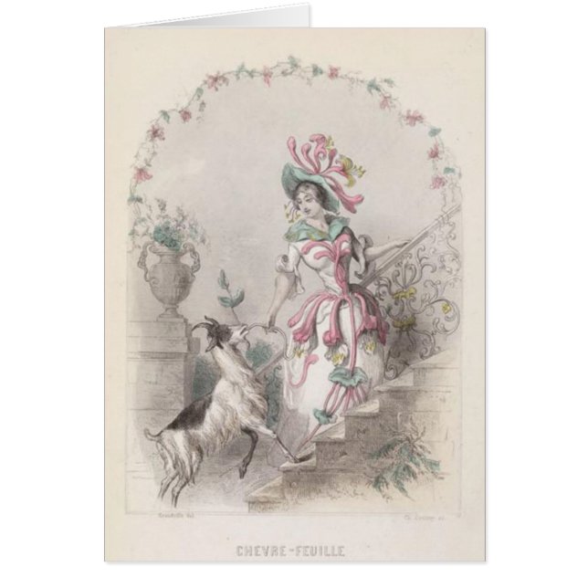 Cartão Flor da erva daninha das cabras (Frente)