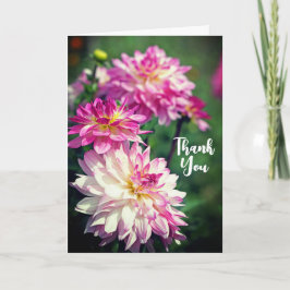 Cartão Flor Dahlia Rosa e Branca Obrigado