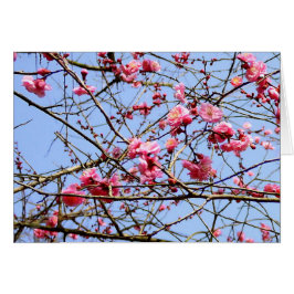 Cartão Flor de ameixa rosa