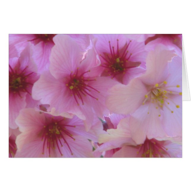 Cartão Flor de Amor (Frente Horizontal)