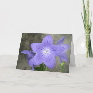 Cartão Flor de balão