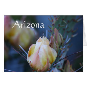 Cartão flor de cacto de marfim, Arizona