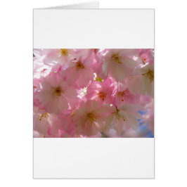 Cartão Flor de Cereja Japonês