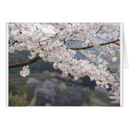 Cartão Flor de Cereja Kumamoto no Japão