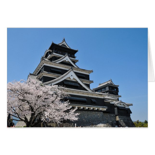 Cartão Flor De Cereja No Japão (Frente Horizontal)