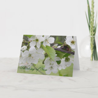Cartão flor de cereja, pensando em você