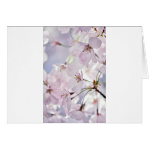 Cartão Flor de cerejeira