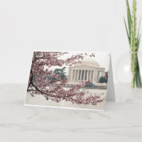 Flor de Cerejeira Washington DC