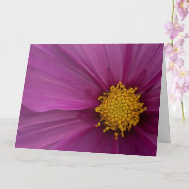 Cartão Flor de Cosmo (Orquídea)