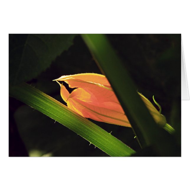 Cartão Flor de Esquadrão (Frente Horizontal)