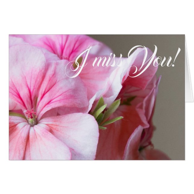 Cartão Flor de gerânio rosa (Frente Horizontal)