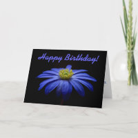 Flor de Gerbera Blue Daisy Feliz Aniversário