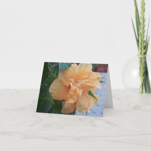 Cartão Flor de hibisco laranja numa placa de vazio (Frente)