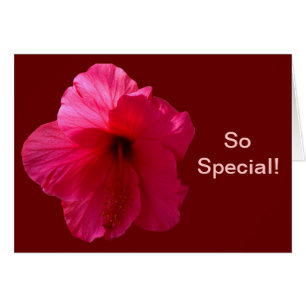 Cartão Flor de Hibiscus Rosa