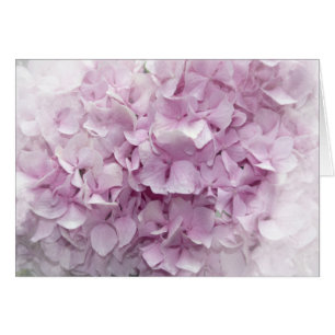 Cartão Flor de Hydrangea Rosa Suave