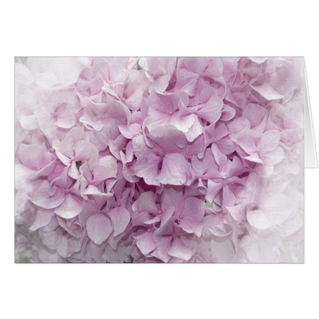 Cartão Flor de Hydrangea Rosa Suave (Frente horizontal)