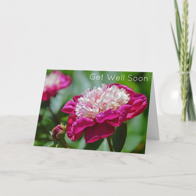 Cartão Flor De Jardim De Pedônia De Algodão Rosa Fica Bem (Frente)