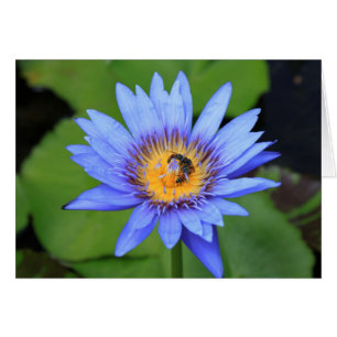 Cartão Flor de lótus