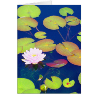 Cartão Flor de Lotus cor-de-rosa que flutua com as