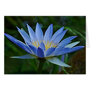 Cartão Flor de lótus e significado