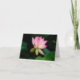 Cartão Flor de Lotus - Placa Dobrada Do Vazio