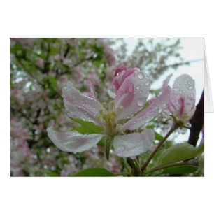 Cartão Flor de Maçã