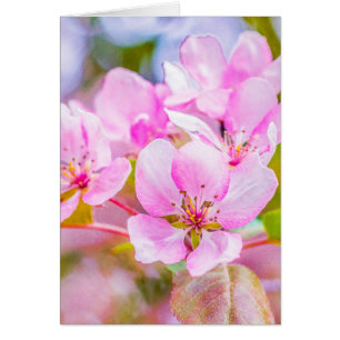 Cartão Flor de Maçã Rosa