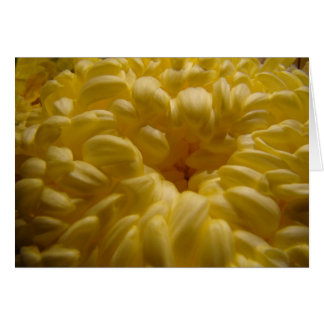 Cartão Flor de manteiga