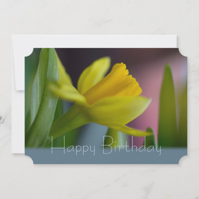Cartão Flor de narciso amarela CC0744 Parabéns (Frente)
